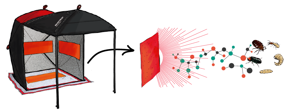 Infrared waves